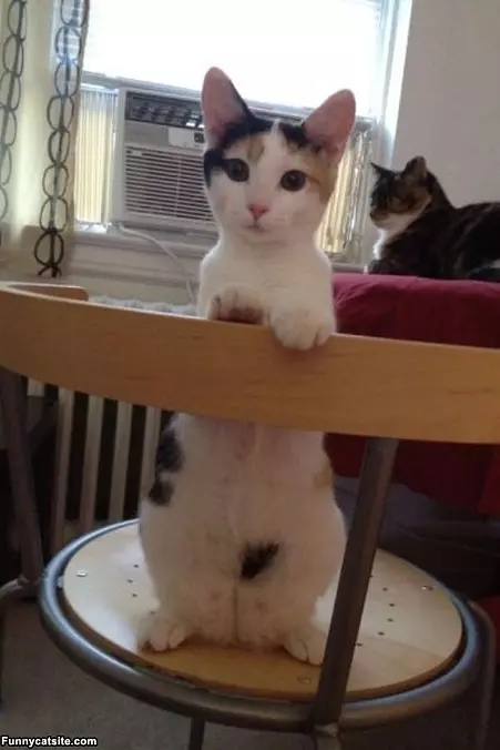 Just Sitting How I Want