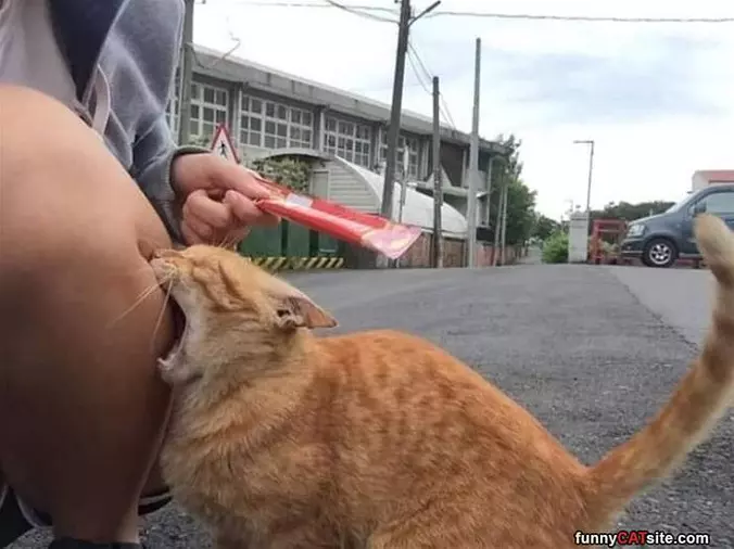 Take A Bite