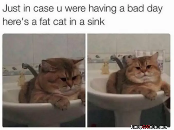 A Bad Day