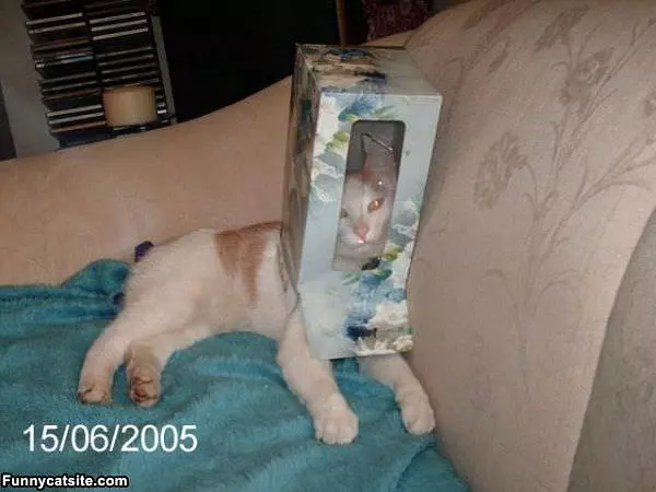 Out Of Tissues