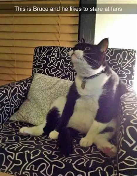 This Is As Relaxed As I Get