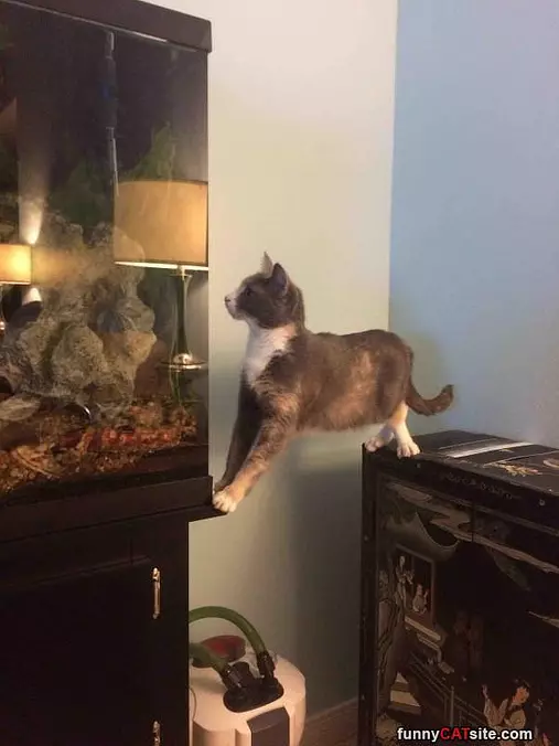 Getting Some Balance
