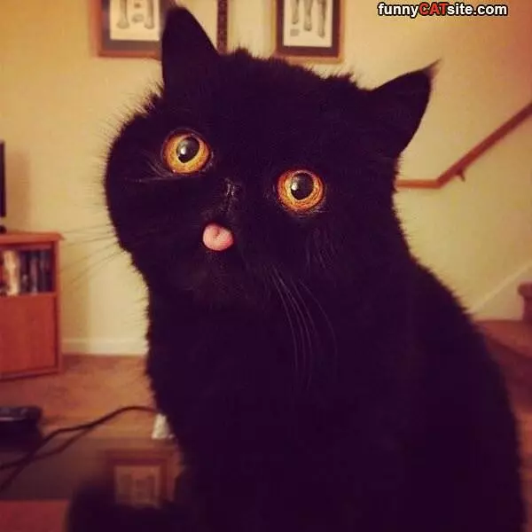Tongue Out At You