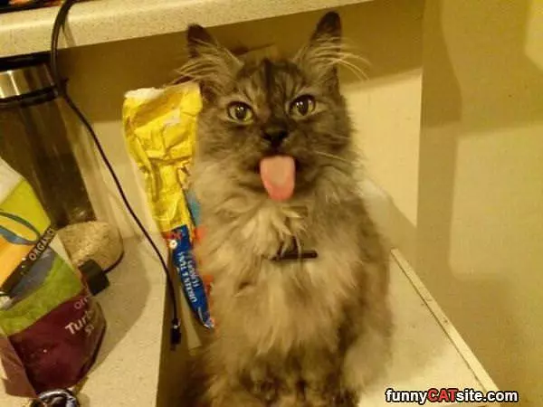 Whaaaaaaaaaa Sup