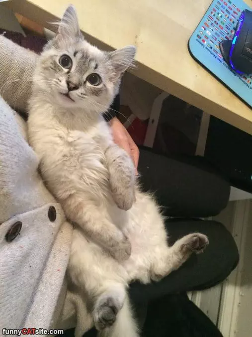 What Did You Say To Me