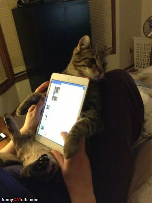 Ipad Holder