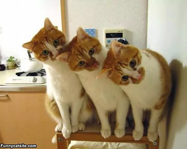 All Watching You