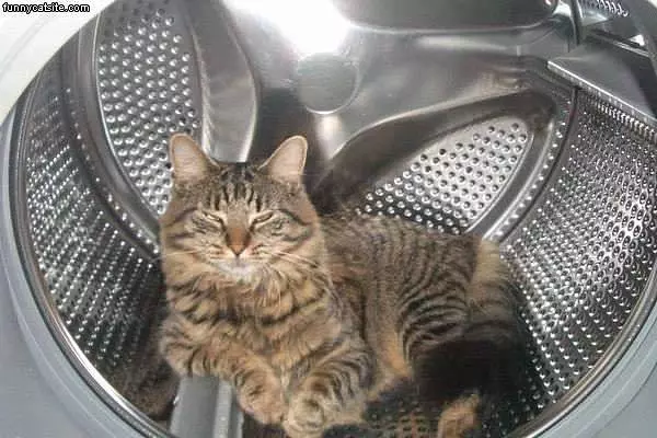 Ready For A Wash