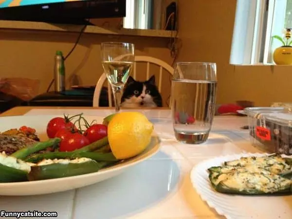 Ready For Dinner Now