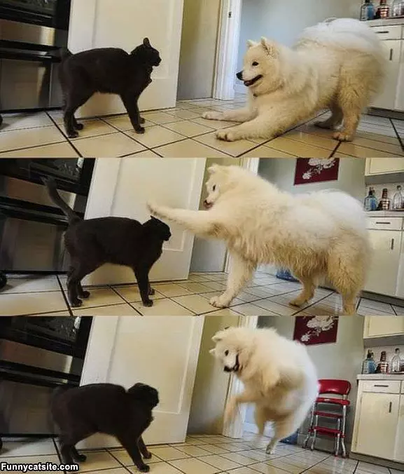 We Are Playing