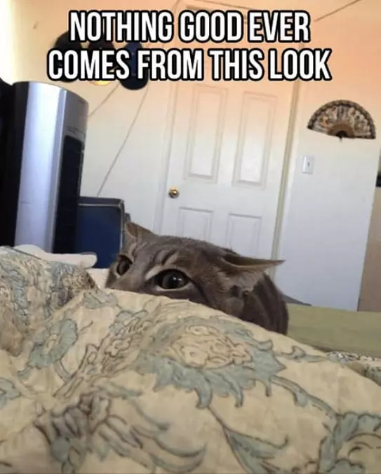 Nothing Good Comes From This Look
