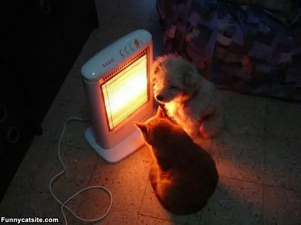 Good Warm Spot