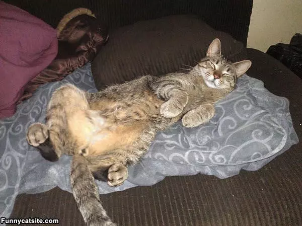 Sleep Where I Want