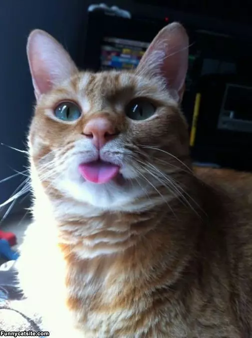 Nnana Tongue
