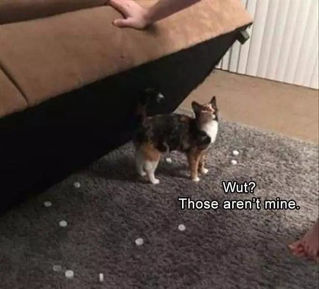 No This Box Is Mine