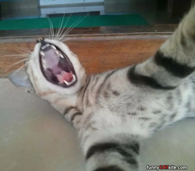 Arrrrrrrrggg