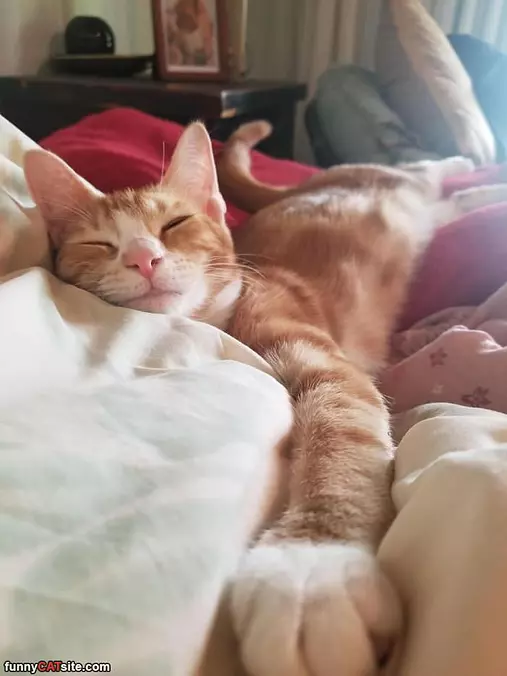 Stretched Relaxing