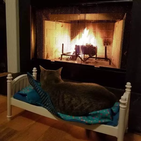 My Lounging Area