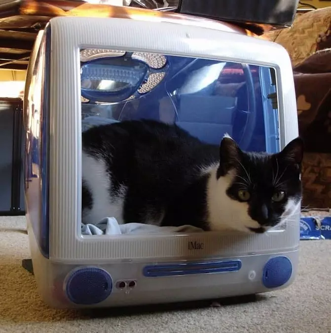 Going To Monitor You