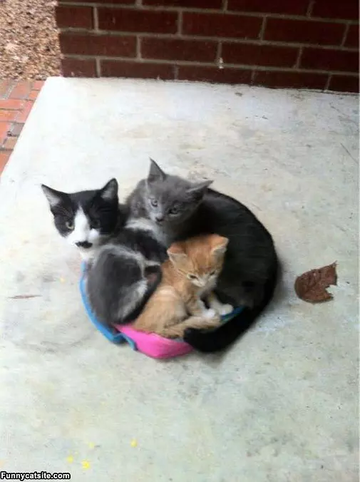 This Is How We Stay Warm