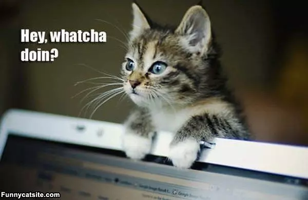Wathca Doin