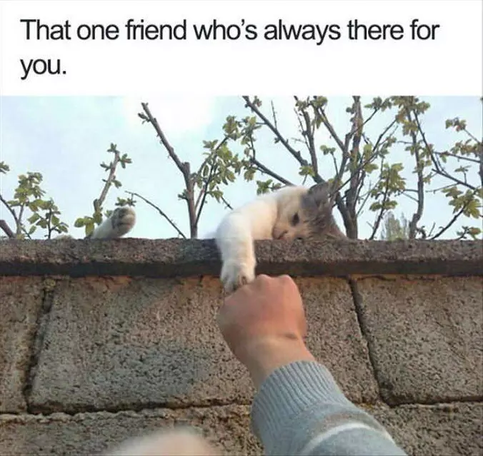 Will Always Be There