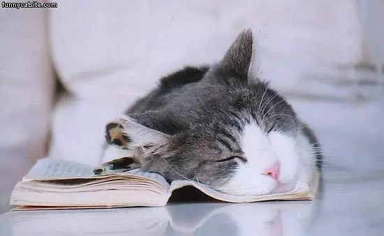 Boring Book