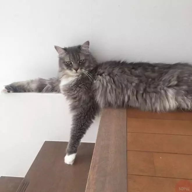 I Am So Relaxed
