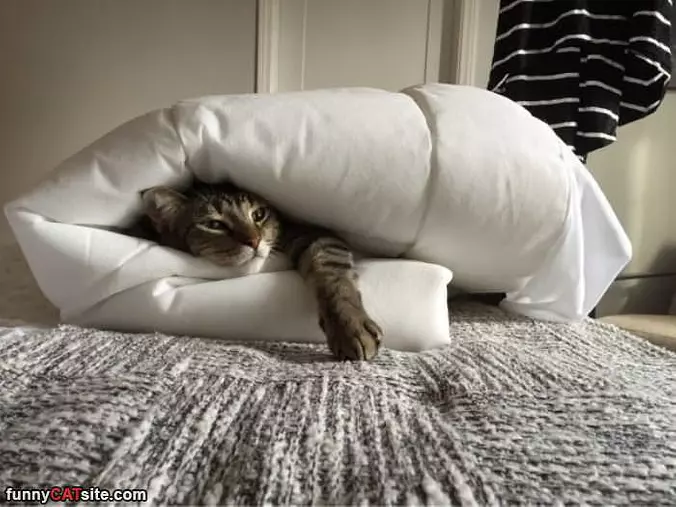 I Am All Cuddled Up