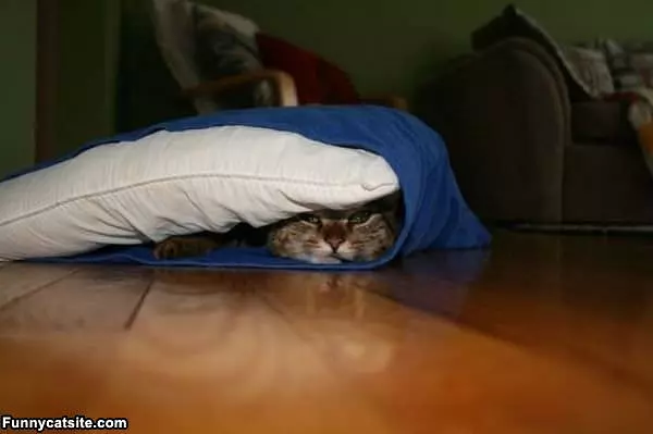 Pillow