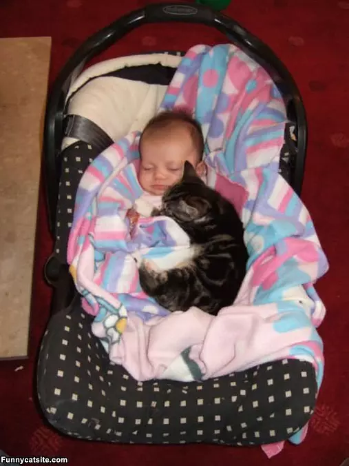 Sleeping Together