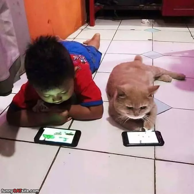 Playing Together