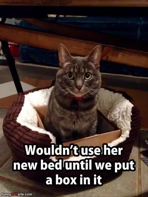 Please Fix My Bed