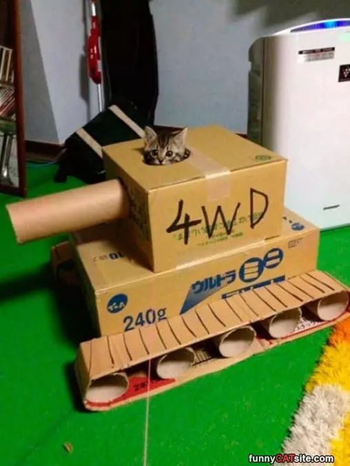 Battle Kitten
