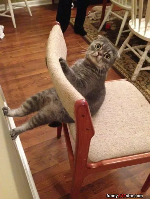 How Do You Chair