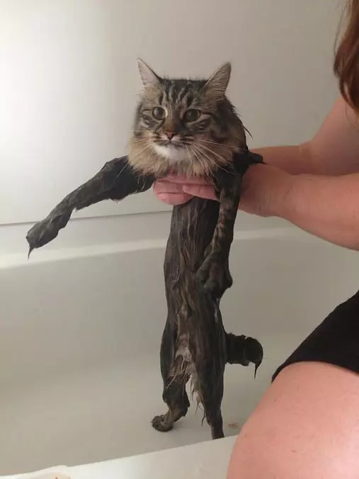 My Bath