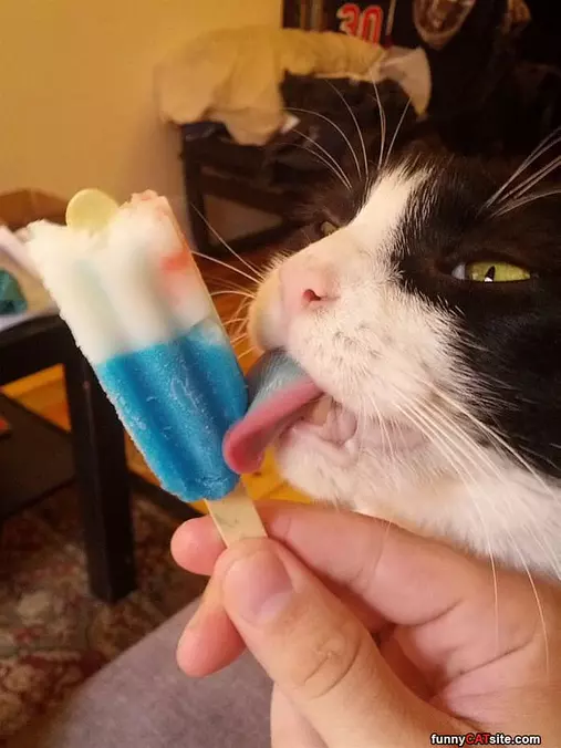 This Is Delicious