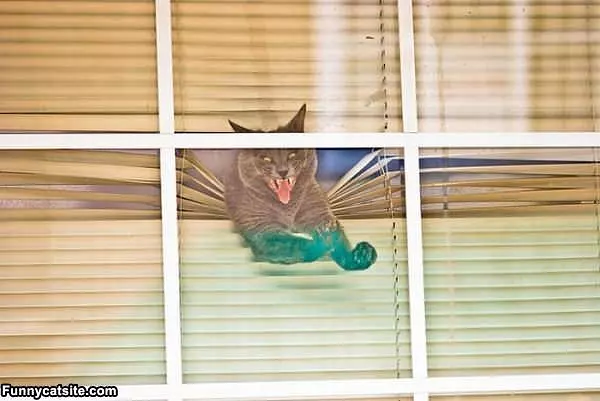 Let Me Out Now