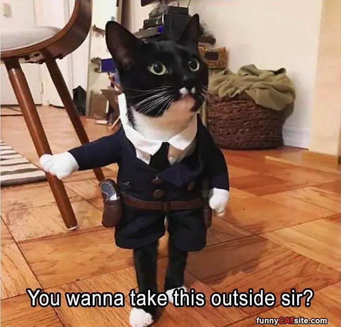 Want To Take This Outside