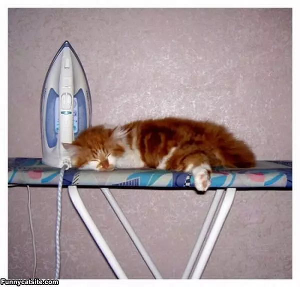 Ironing Board