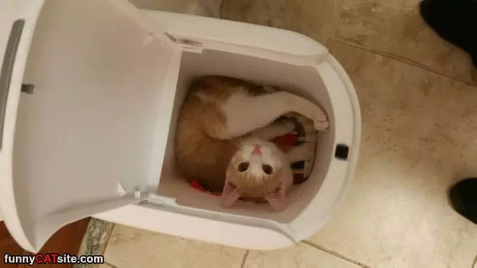 In The Garbage