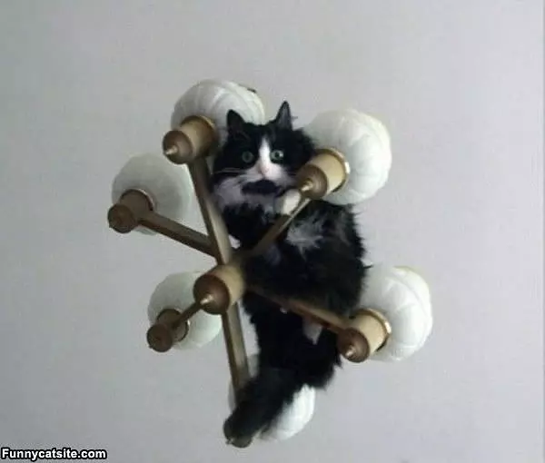 Up In The Light