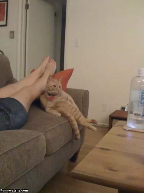 Sit How I Want