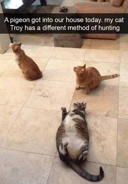 A New Method Of Hunting