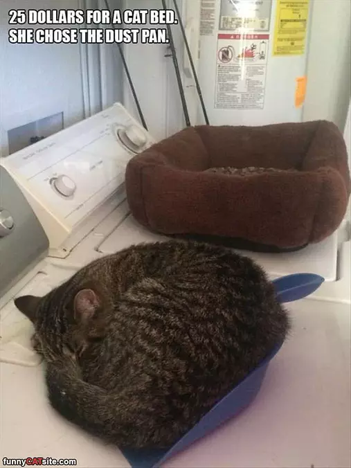 I Like The Dust Pan