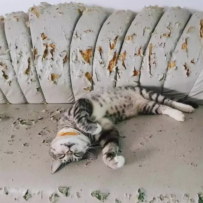 This Couch