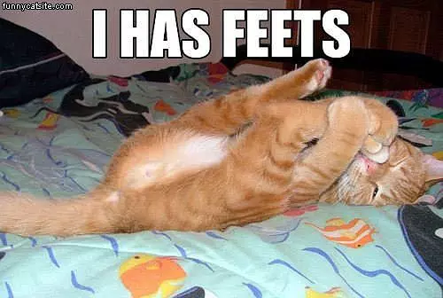 I Has Feets