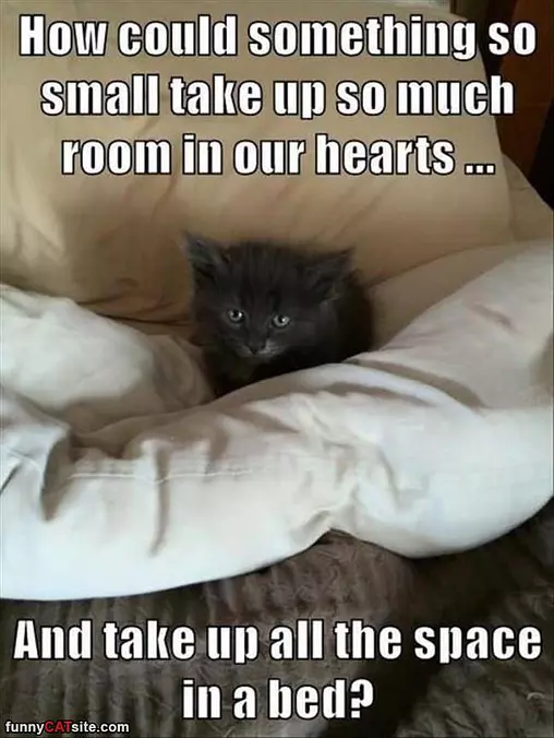 So Much Space