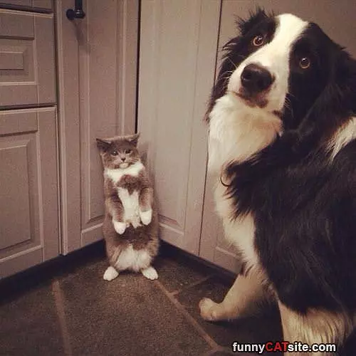 Please Back Off