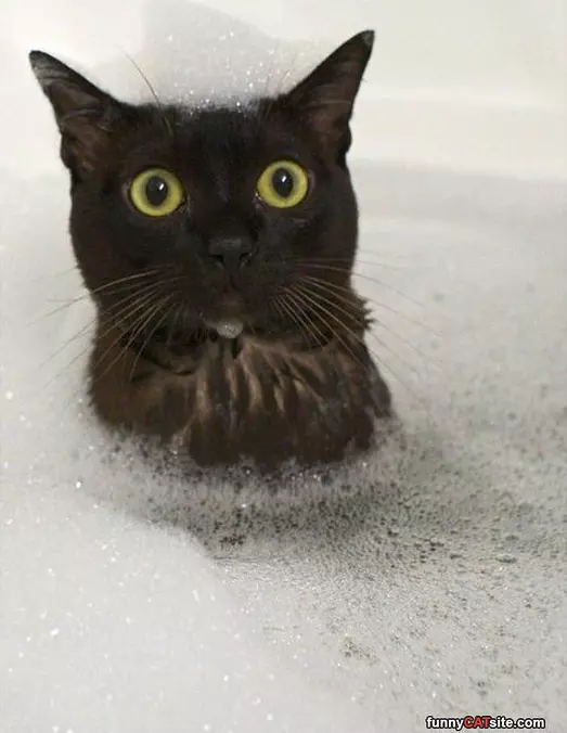 I Love Bubbles